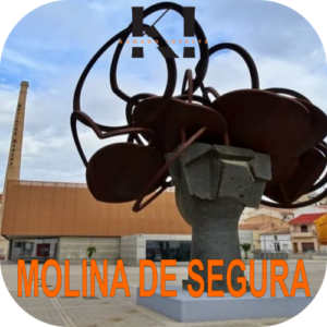 Ticket de 4.000 € - Duplex Murcia